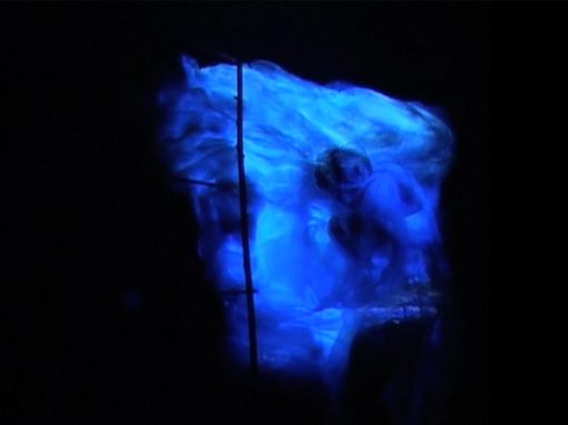 IMAGO FLUX – Performance