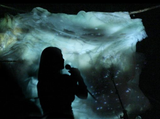 IMAGO FLUX – Concert
