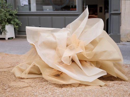 LA ROSE DES SABLES